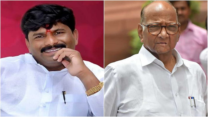 People didn't want corrupt, casteist like him...': BJP's Gopichand Padalkar after unveiling Ahilya Devi's statue before Sharad Pawar's scheduled program HD wallpaper