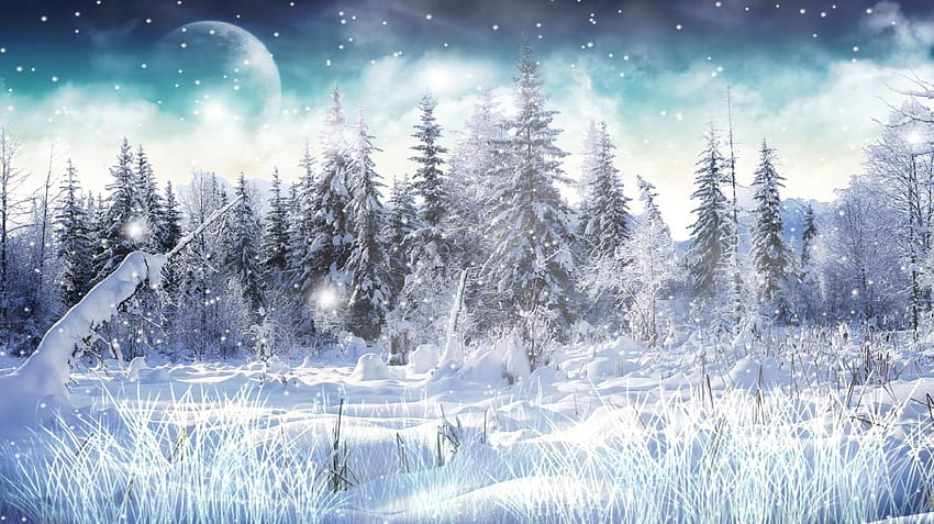 Winter Snow Animated, winter window HD wallpaper