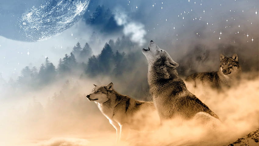 Wolf Howling At The Moon Untuk, serigala dan bulan Wallpaper HD