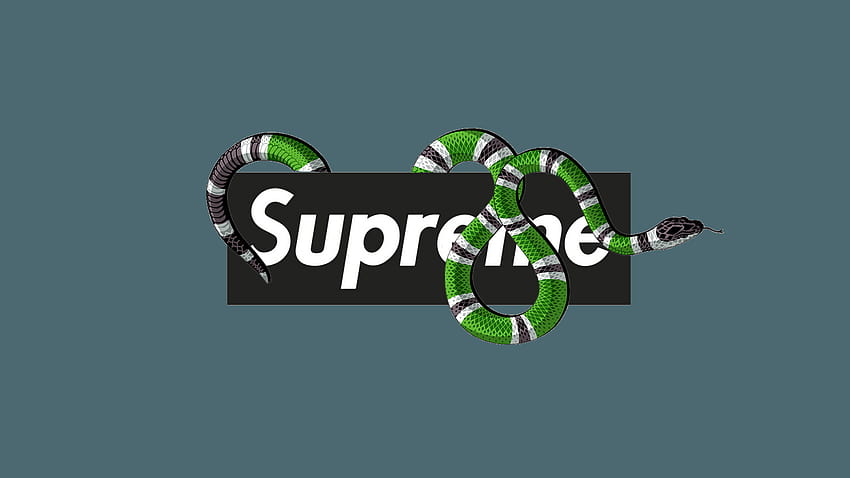 Gucci x supreme logo HD wallpapers