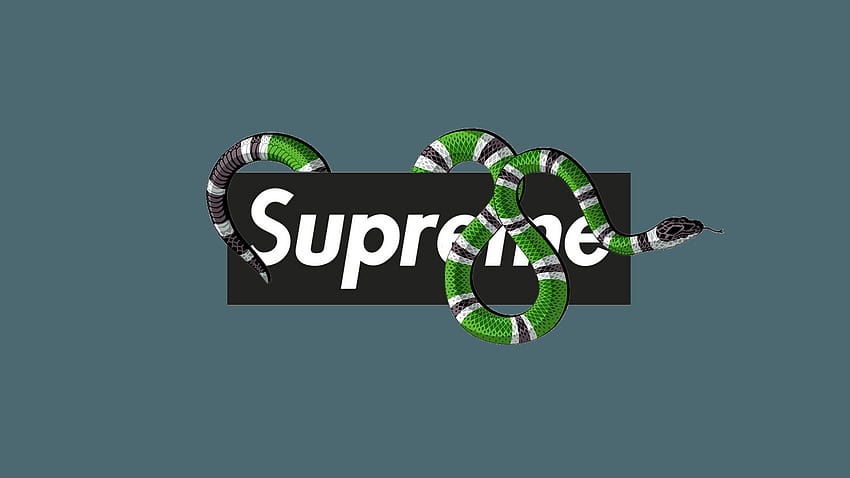 supreme brand logo - Roblox