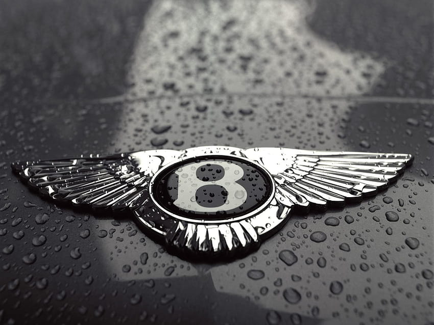 48 Voitures Bentley , Voitures Bentley, logos voiture Fond d'écran HD
