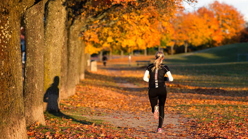 Women Afternoon Running Upload at November 4 [1920x1080] for your , Mobile & Tablet, women jogging HD wallpaper