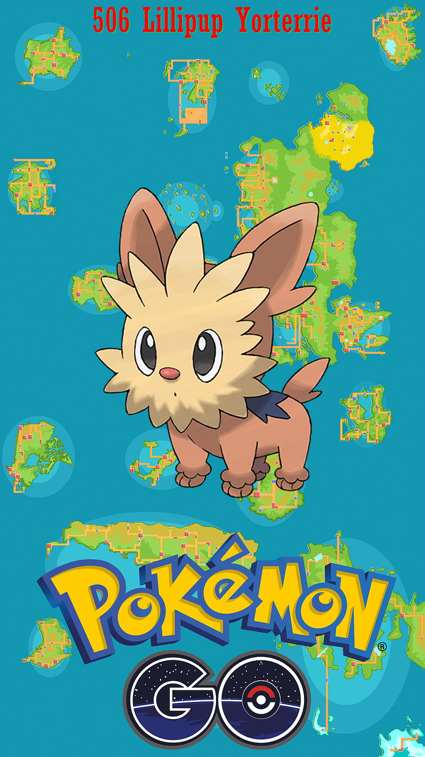 506-street-map-lillipup-yorterrie-hd-phone-wallpaper-pxfuel