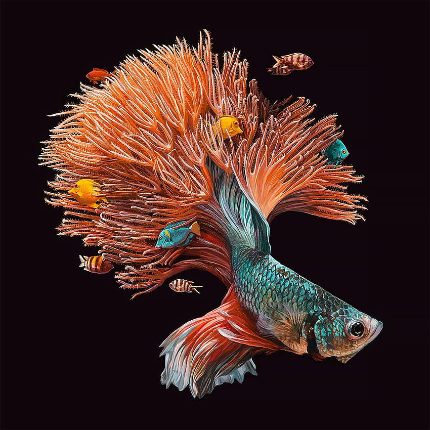 Lisa Ericson は、鮮やかな色の魚で有名なアーティスト、イラストレーター、デザイナーです。 HD電話の壁紙