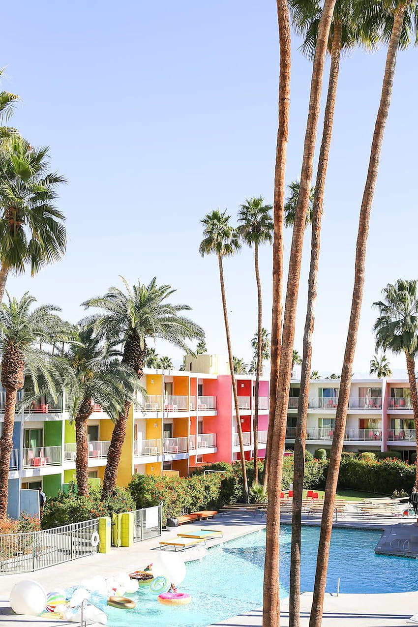 My Ultimate Palm Springs Travel Guide, palm springs california HD phone wallpaper