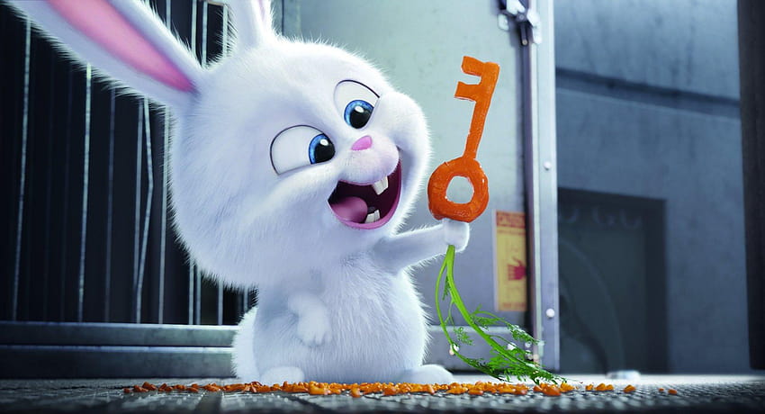 20 La vida secreta de las mascotas, conejo bola de nieve fondo de pantalla