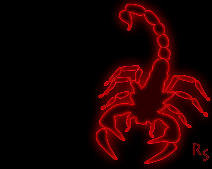 scorpion ,red,scorpion,organism,graphic design,neon,font,graphics, marvo HD wallpaper