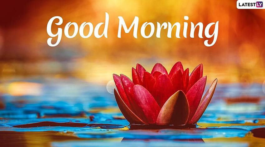 Send Good Morning & Wishes to Family & Friends As No, good morning ...