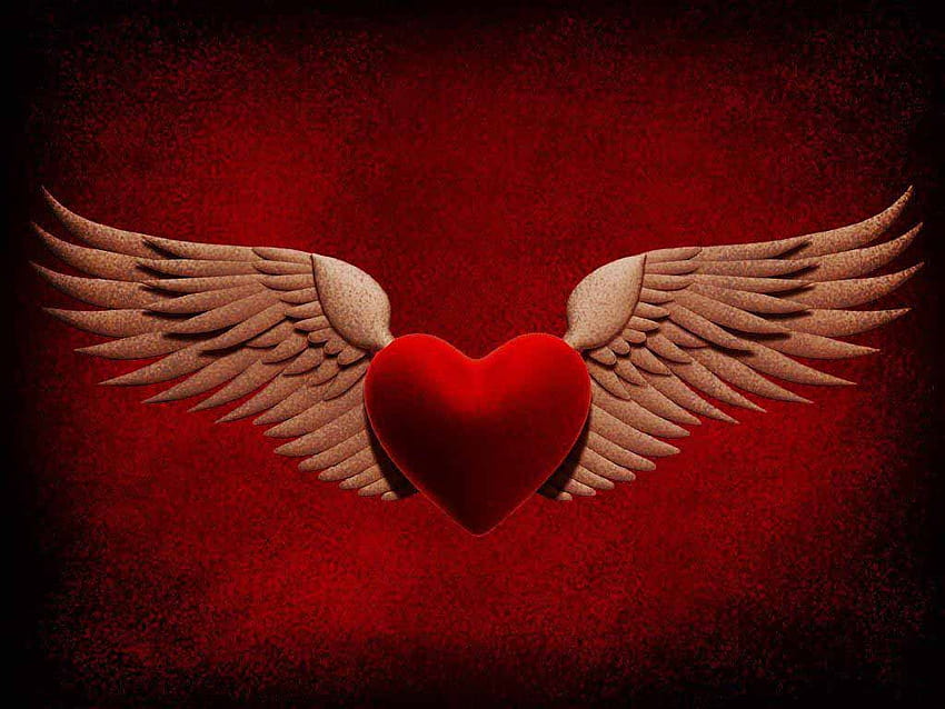 4 Heart with Wings, heart wing HD wallpaper