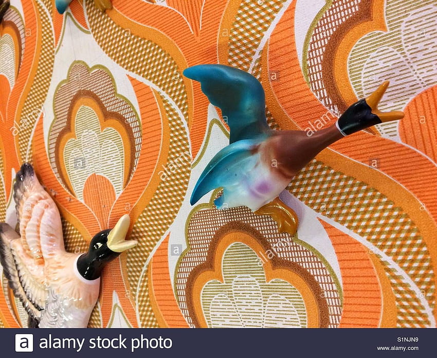 A retro 1970s wall mounted duck flying along on 70s like in Hilda Ogden's house in the TV series Coronation … HD wallpaper