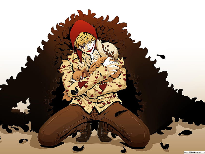 20 Donquixote Corazon HD Wallpapers and Backgrounds