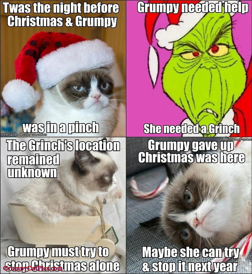 มีมแมวหน้าบึ้งคริสต์มาสตลกๆ วอลล์เปเปอร์โทรศัพท์ HD