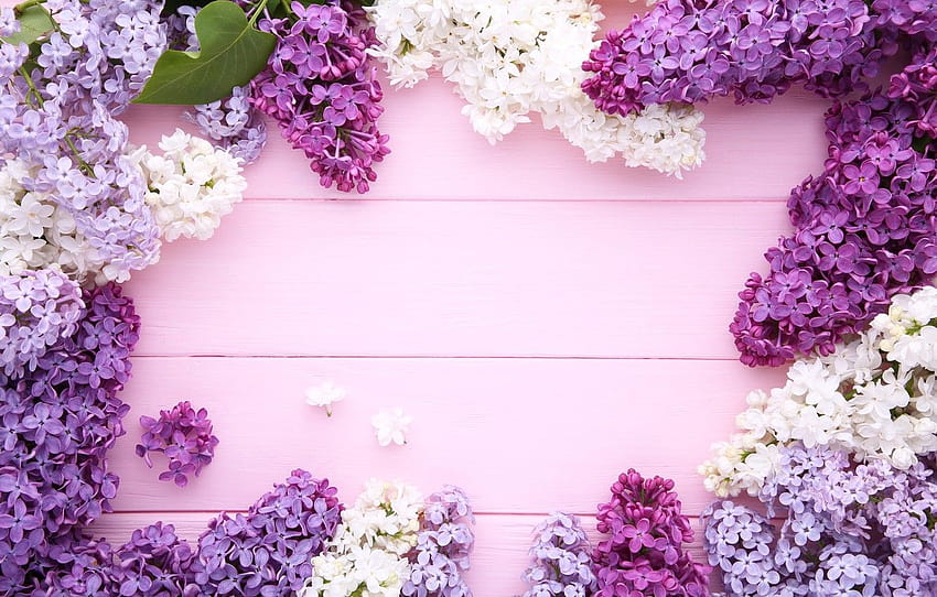 Flowers, background, wood, flowers, lilac, purple, lilac , section ...