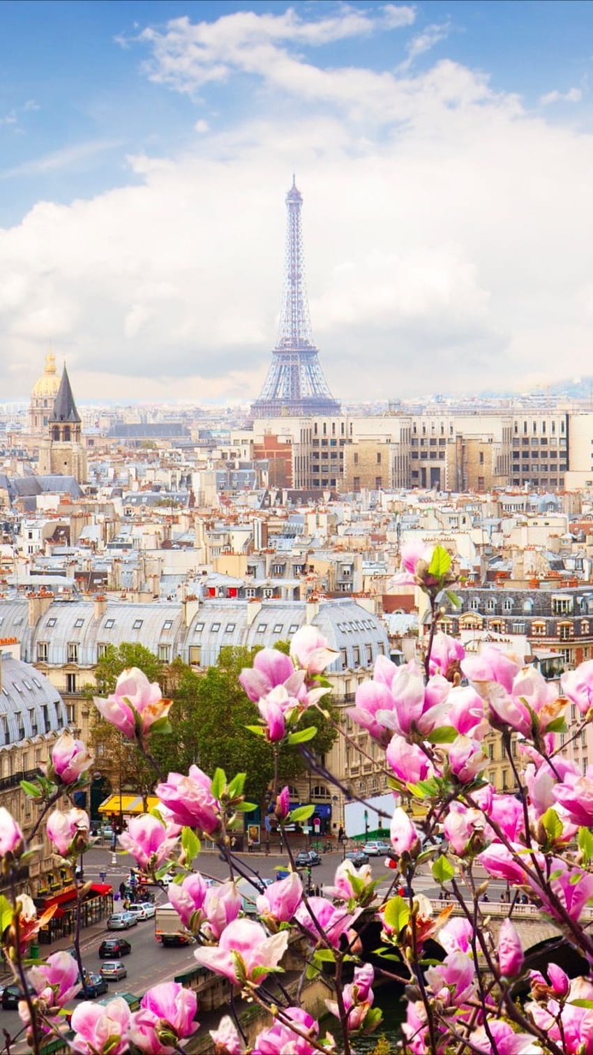 ปารีส ...pinterest ฤดูใบไม้ผลิของฝรั่งเศส วอลล์เปเปอร์โทรศัพท์ HD