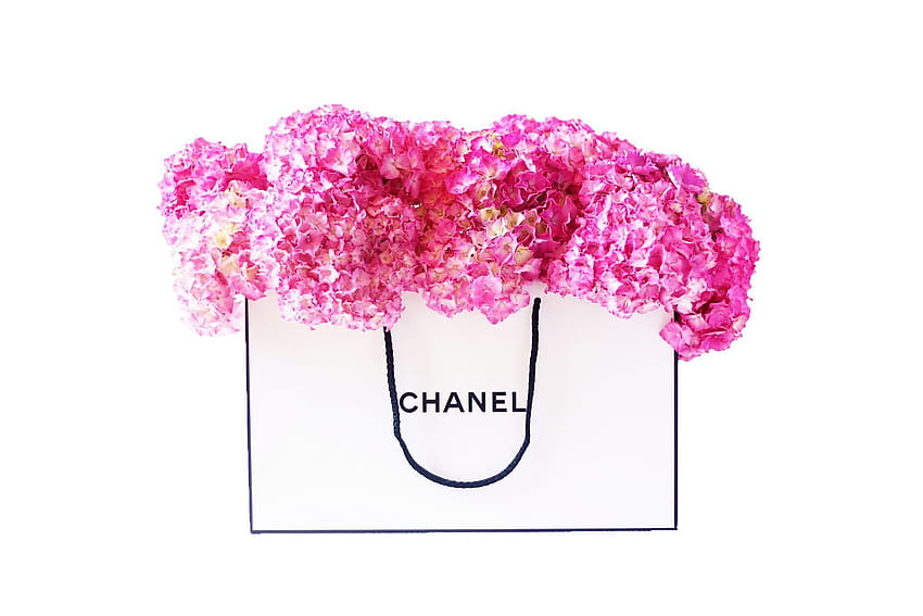 Chanel on Dog, pink chanel HD wallpaper | Pxfuel