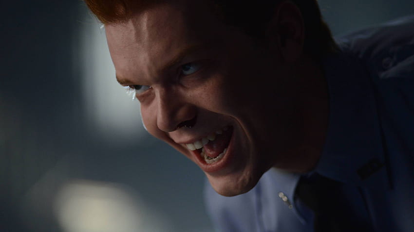 Gotham 2 season, Gotham, Cameron Monaghan, Joker, crime HD wallpaper