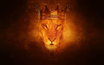 aslan the king of narnia - Aslan wallpaper (20650333) - fanpop
