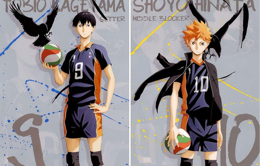 the ball, feathers, red, crows, guys, art, sports uniforms, shouyou hinata HD wallpaper