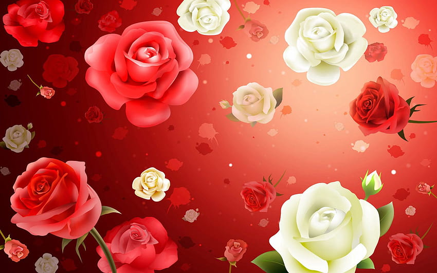 Latar belakang bunga mawar Windows 7, bunga mawar Wallpaper HD