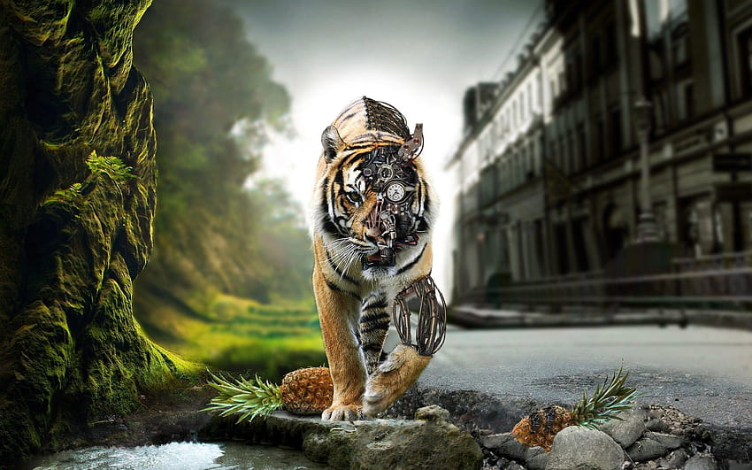 Wysoka rozdzielczość 3D, panoramiczne tygrysy 3D Tapeta HD