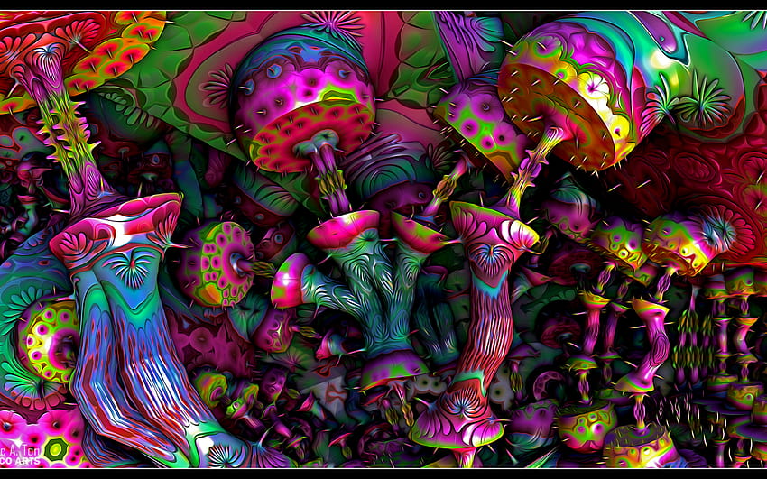 psychedelic mushrooms by eccoarts digital art fractal art fractal [1920x1080] for your , Mobile & Tablet, colorful mushrooms fractal art HD wallpaper