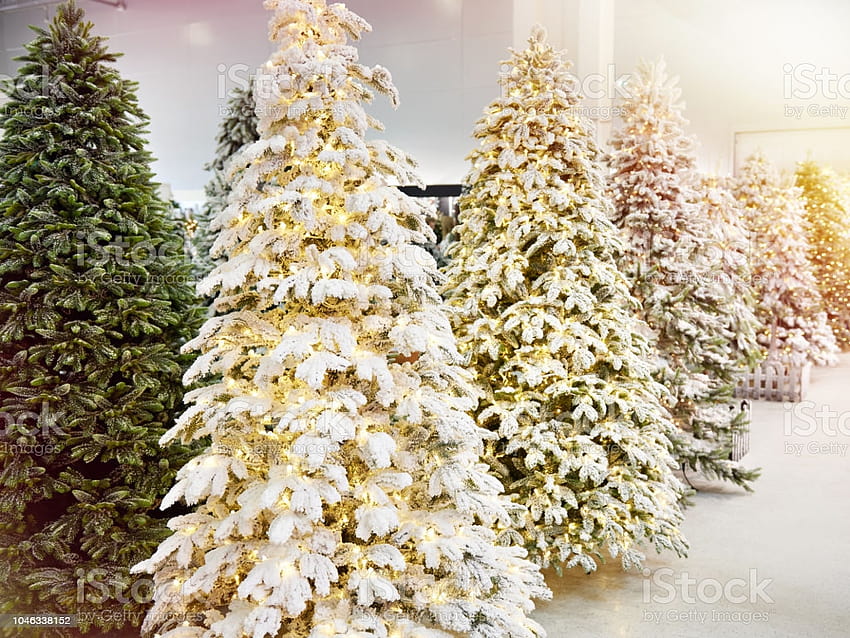 Decorative Artificial Christmas Trees In Store Stock HD wallpaper