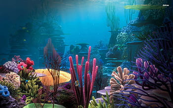 Aquarium background HD wallpapers | Pxfuel