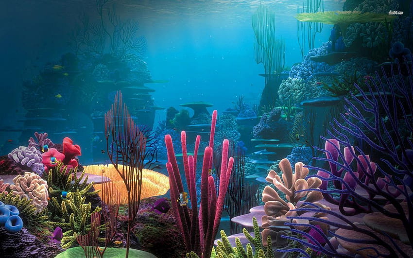 Aquarien Aquarium und Hintergründe HD-Hintergrundbild