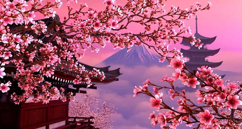 Cherry Blossom posted by ...cute HD wallpaper
