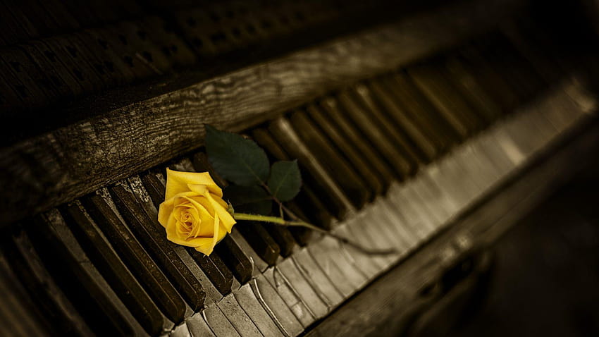 Full Piano , Backgrounds 1920x1080, pianos HD wallpaper | Pxfuel