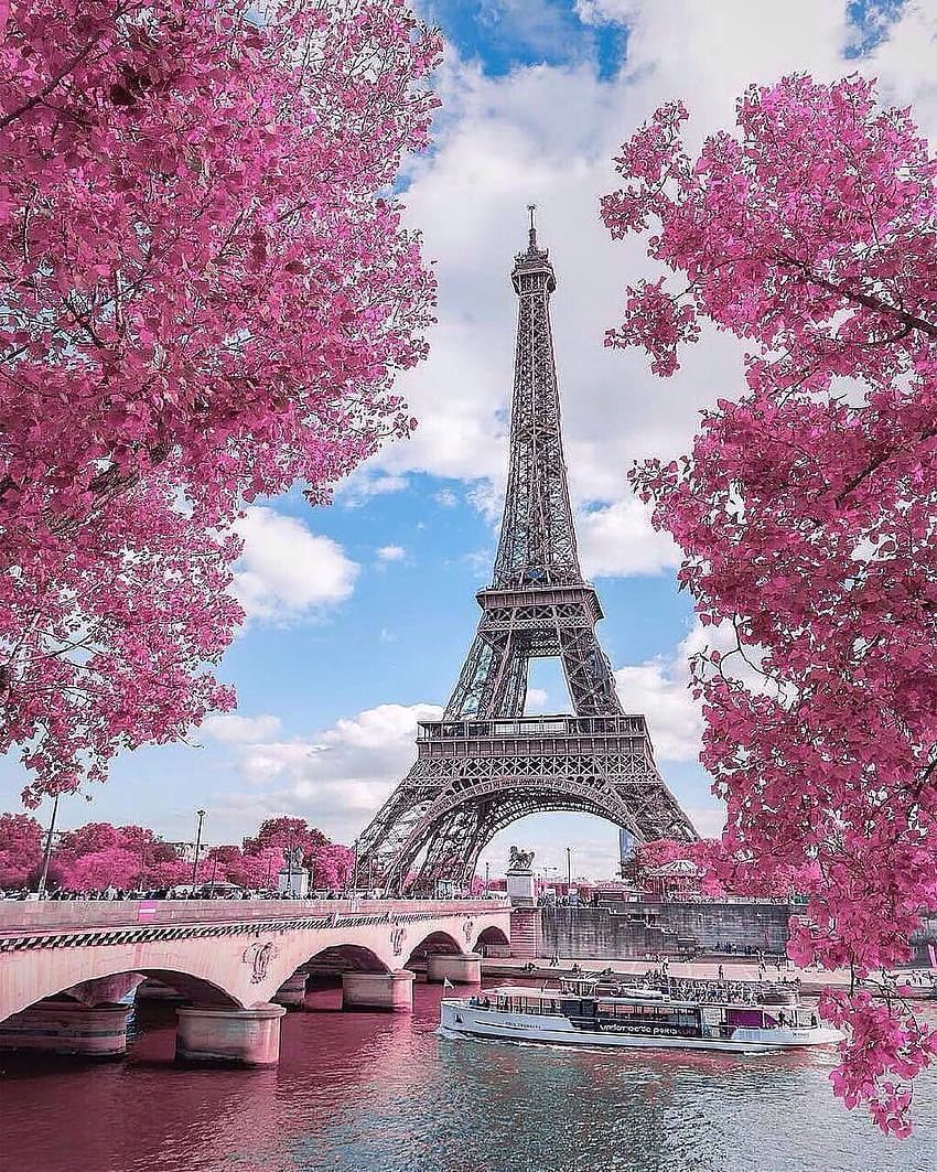 Розов изглед към Айфеловата кула, пролетно време в Париж HD тапет за телефон