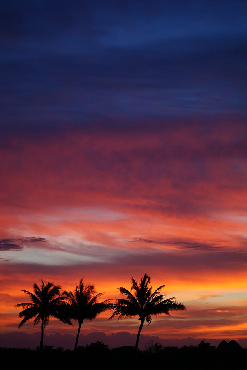 Isla Holbox, Mexico, Dawn at Holbox Island., SONY, DSLR HD phone wallpaper
