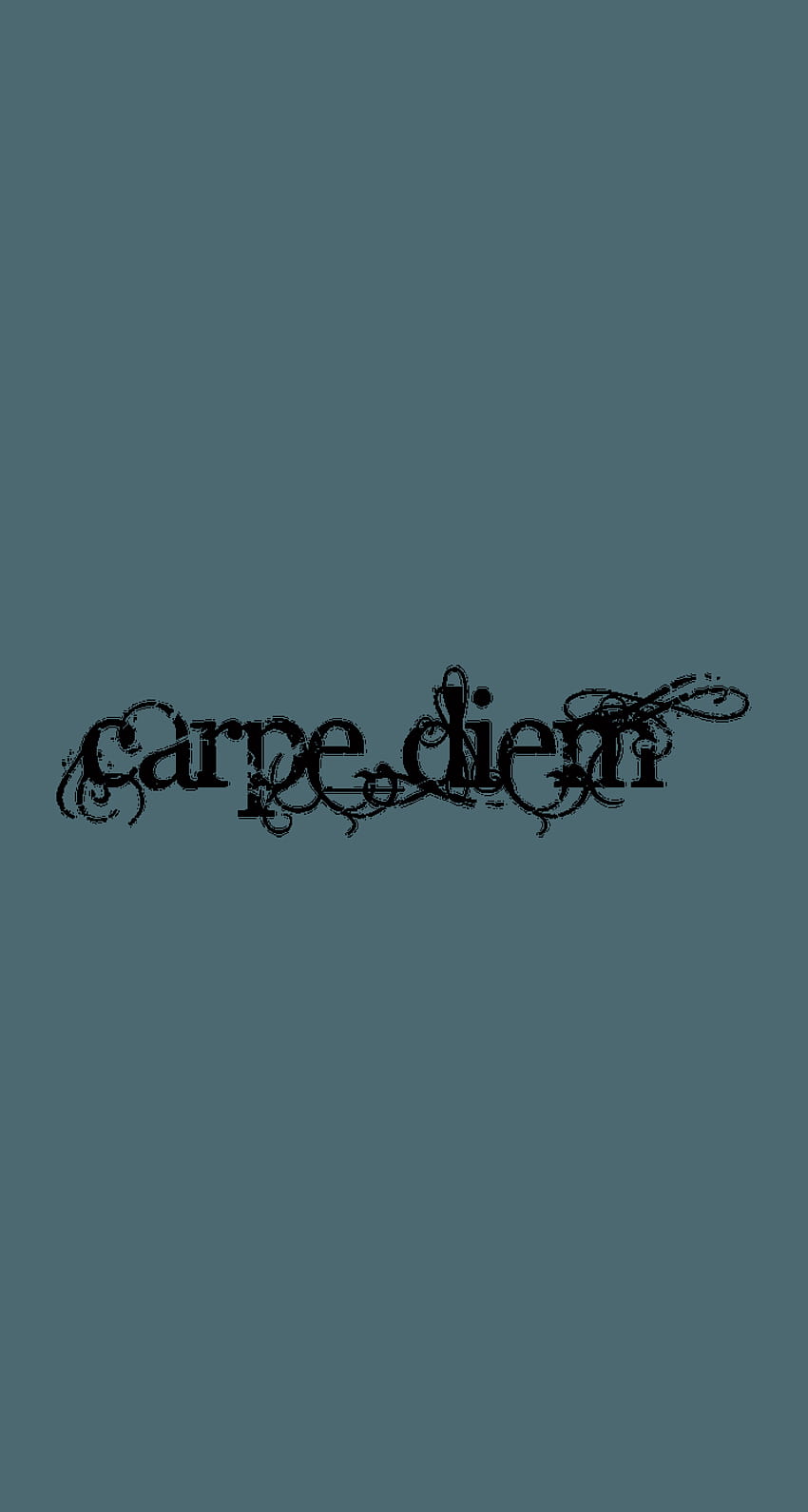 Carpe diem HD phone wallpaper | Pxfuel