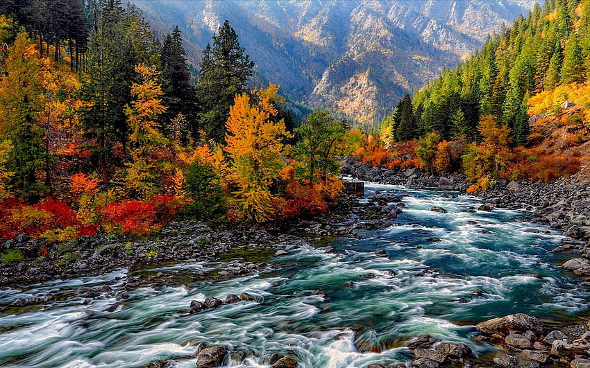 Autumn Mountain Stream, mountain autumn HD wallpaper