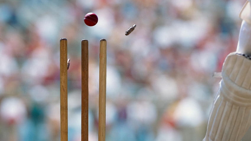 Guichet de cricket – Bing, bowling de cricket Fond d'écran HD