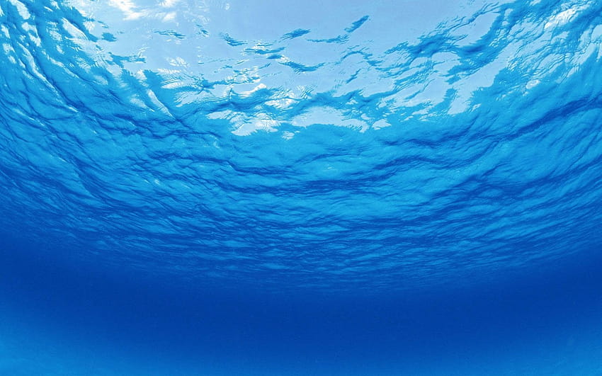 Deniz Deniz, okyanusun içinde HD duvar kağıdı