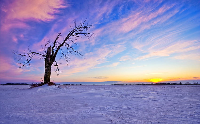 2560x1600 Удивителен зимен пейзаж, зимни пейзажи HD тапет