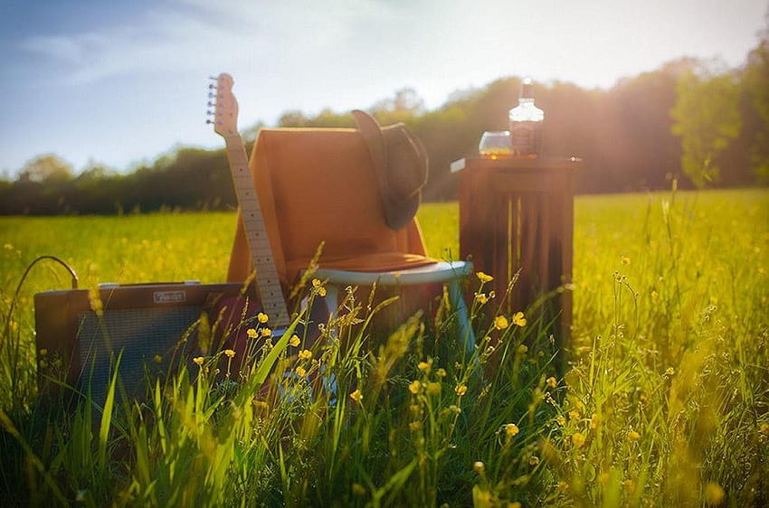 フィールド: 遊び場 草 夏 自然の楽しみ 牧草地 ギター、ピクニック 高画質の壁紙