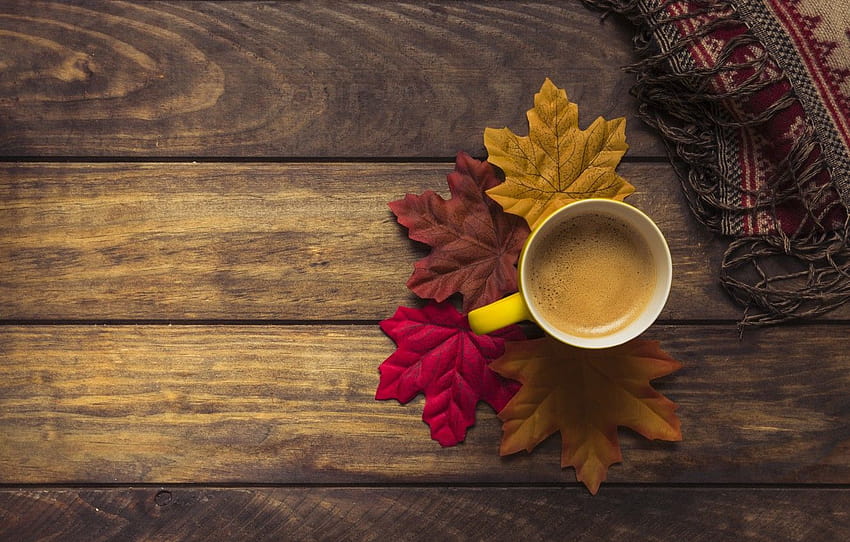 outono, folhas, fundo, árvore, café, colorido, cachecol, Copa, Conselho, madeira, fundo, outono, folhas, xícara, café, outono, seção настроения, outono grafia papel de parede HD