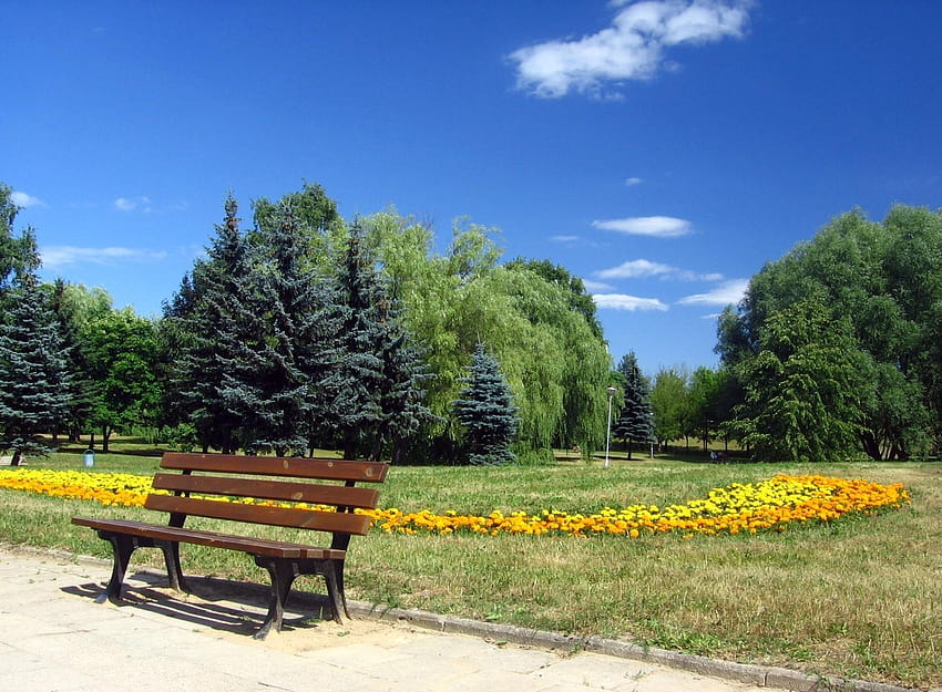 기타: 루마니아 부쿠레슈티 공원 구름 은행 푸른 하늘 여름 나무 꽃 HD 월페이퍼