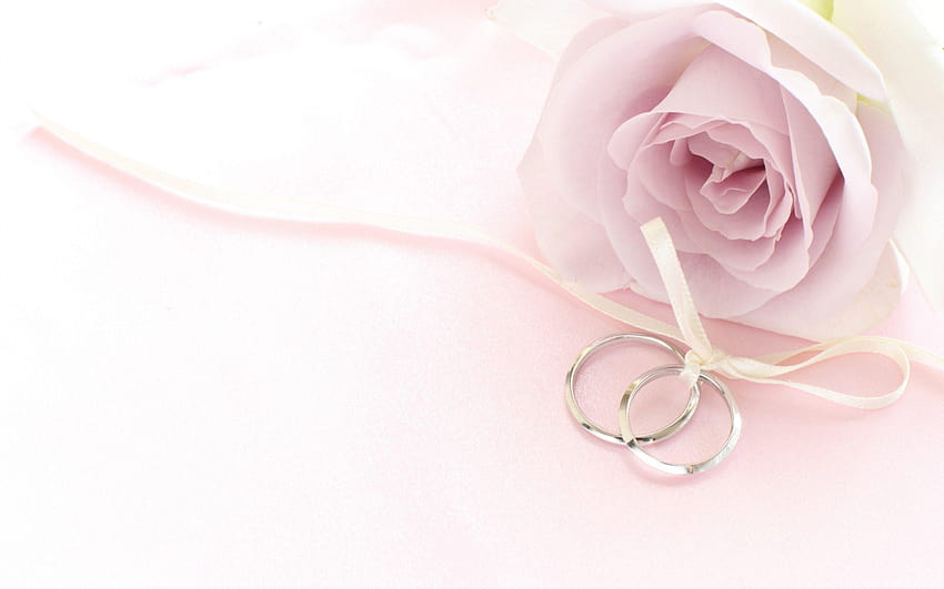 Fiori: Soft Flowers Pink Flower Rings Delicate Rose Nature, pink soft Sfondo HD