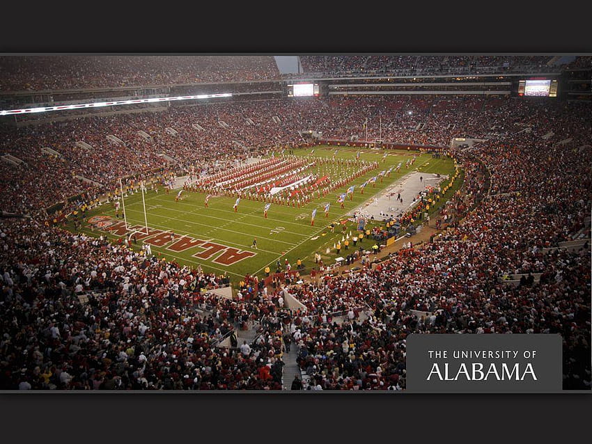 Bryant Denny Stadium Tuscaloosa, AL Home of the Alabama Crimson Tide, alabama crimson tide football HD wallpaper