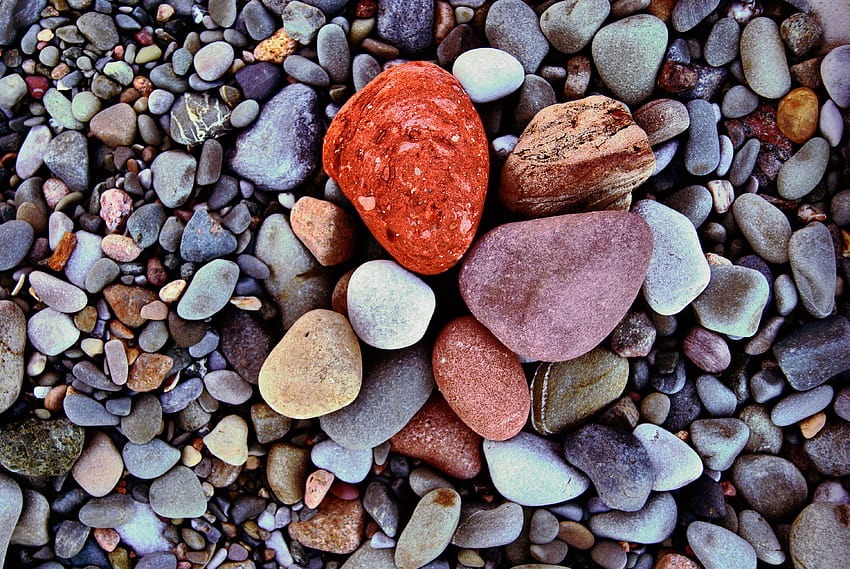 natura, texture, mare, spiaggia, pietre colorate, macro, ciottoli Sfondo HD