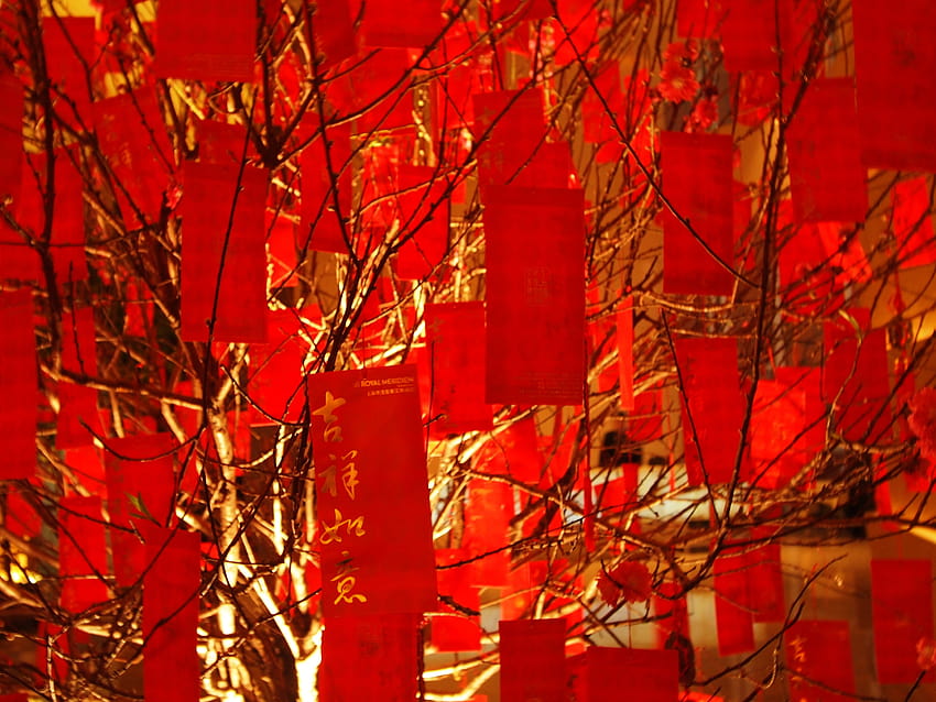 : new, red, money, tree, festival, hotel, spring, year, Chinese, royal, LE, gift, envelope, lunar, meridian 3132x2349 HD wallpaper