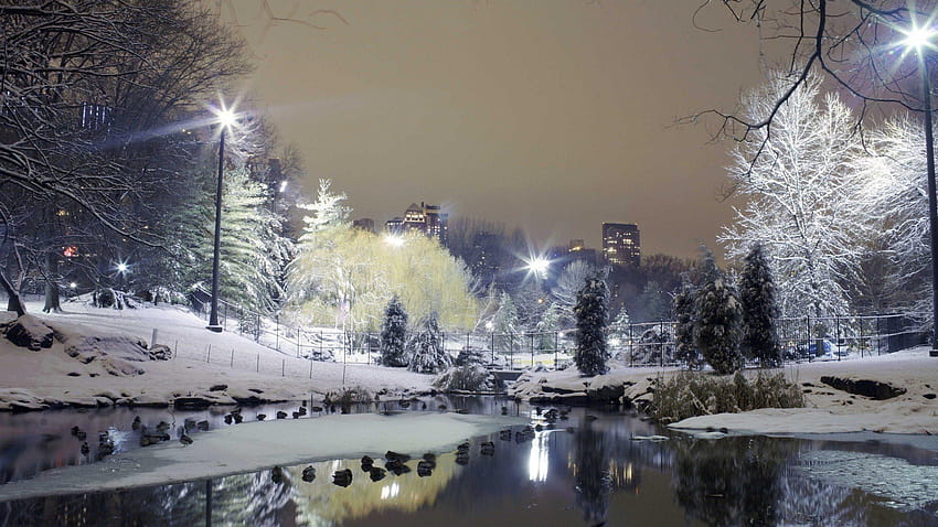 Корея през зимата, Южна Корея зимен сняг HD тапет