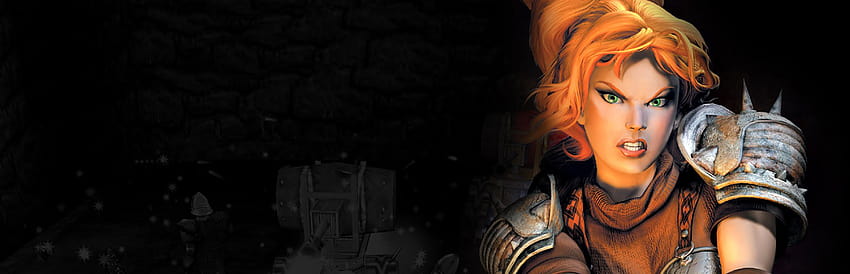Dungeon Siege HD wallpaper Dungeon Siege HD wallpaper