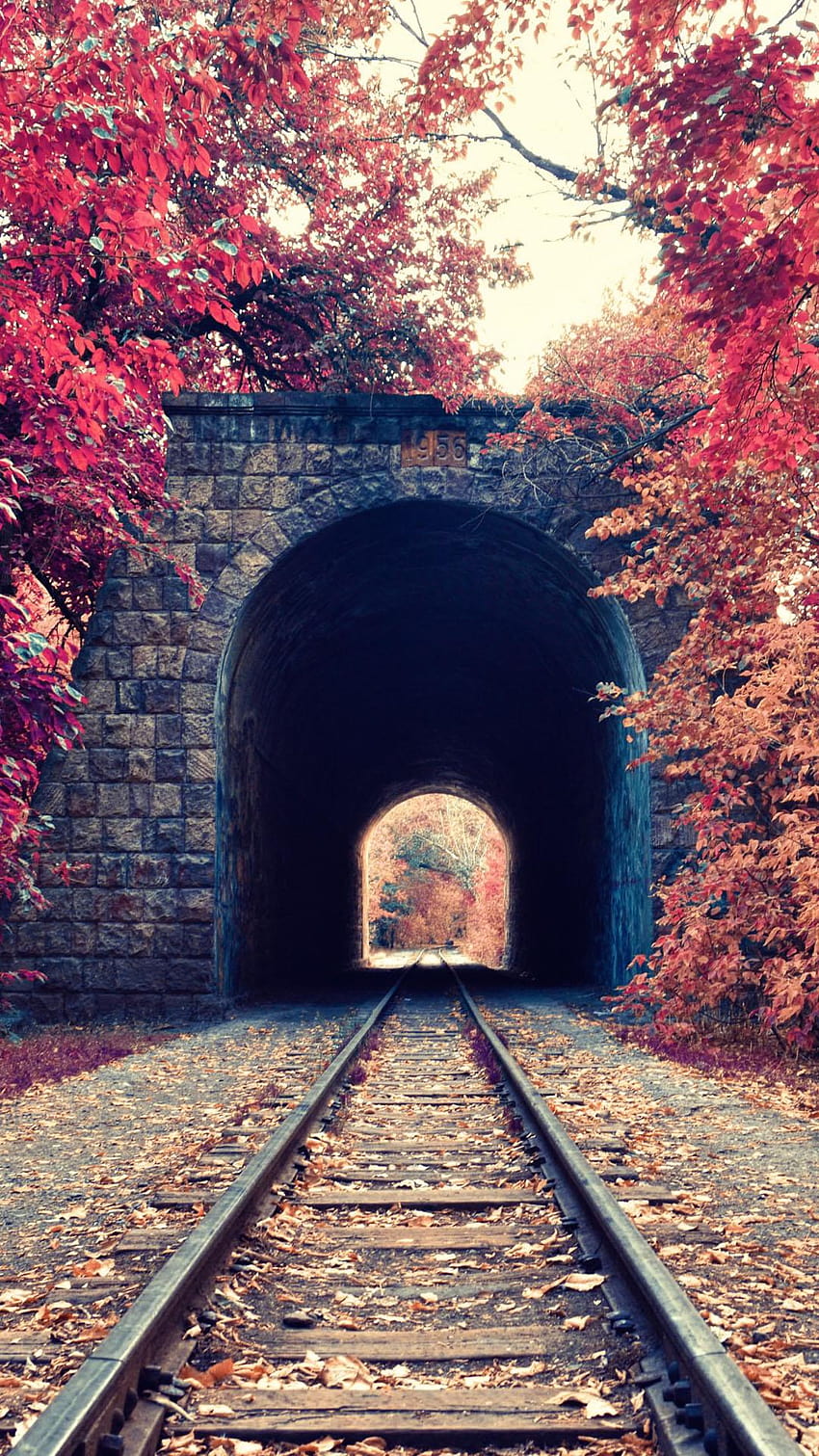 秋の電車のトンネル 赤い木の葉 iPhone 6 Plus, trains android HD電話の壁紙