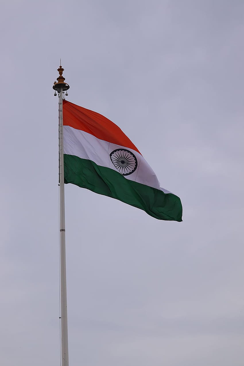 : flag, india, nature, indian flag, people, india flag iphone HD phone wallpaper