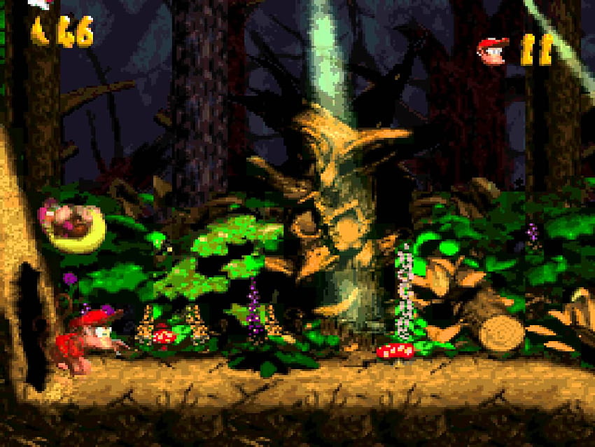 Donkey Kong Country 2: Diddy's Kong Quest , Video Game, HQ Donkey Kong Country 2: Diddy's Kong Quest HD wallpaper